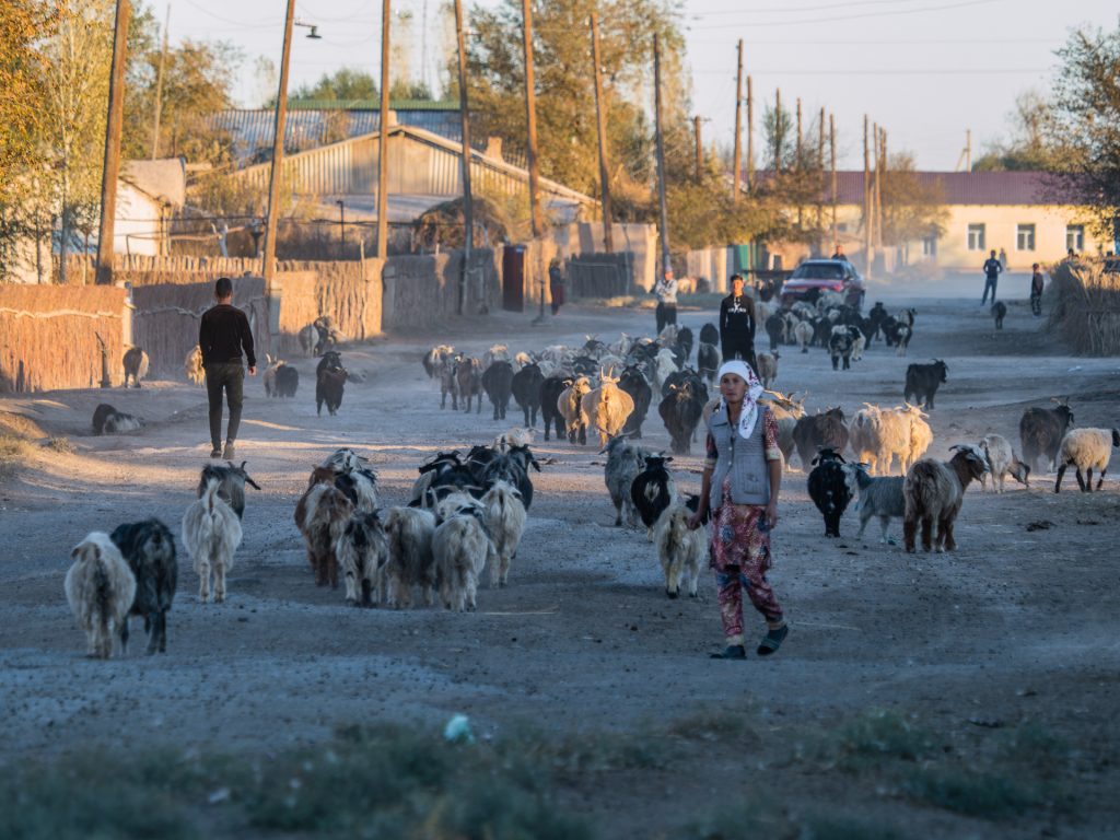 kamila Kielar uzbekistan aral