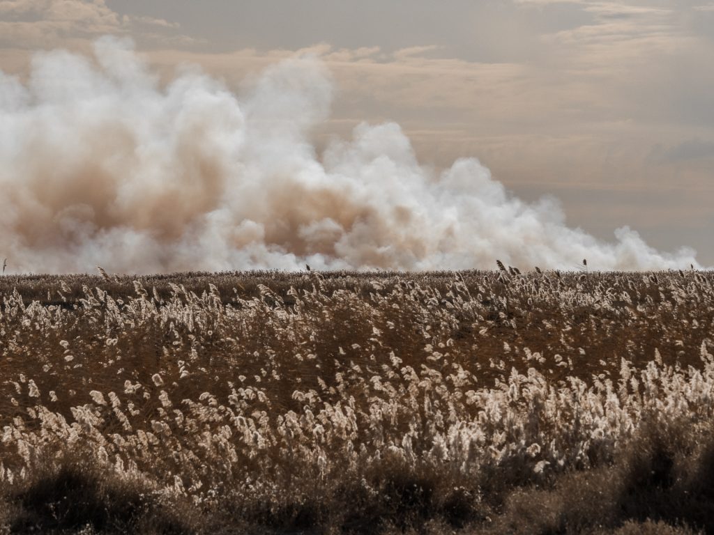 Podcast Drzazgi świata Kamila Kielar patryk strzałkowski migracje kryzys klimatyczny